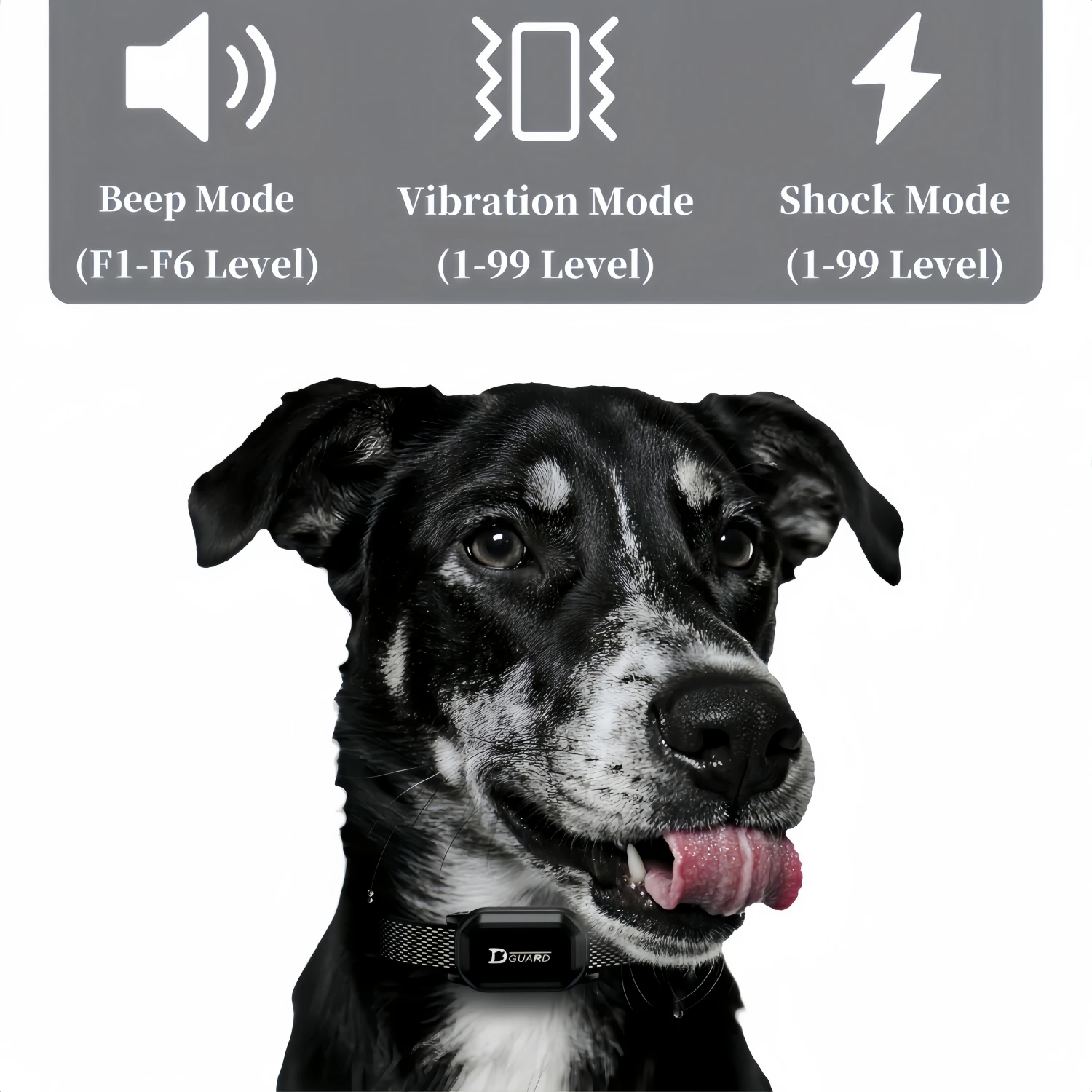 Collier De Dressage Pour Chien Avec Télécommande Et 3 Modes_voghion.com