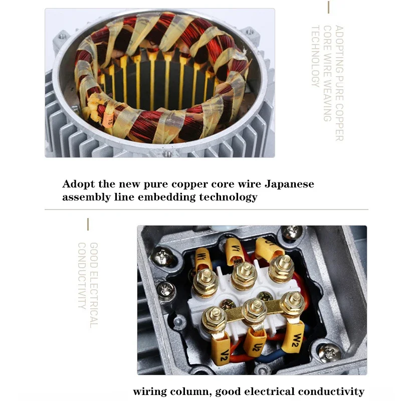 1000W Oil Press Stainless Steel Hot And Cold Fryer Peanut Sesame Oil Press Automatic Hemp Perilla Seed Extractor