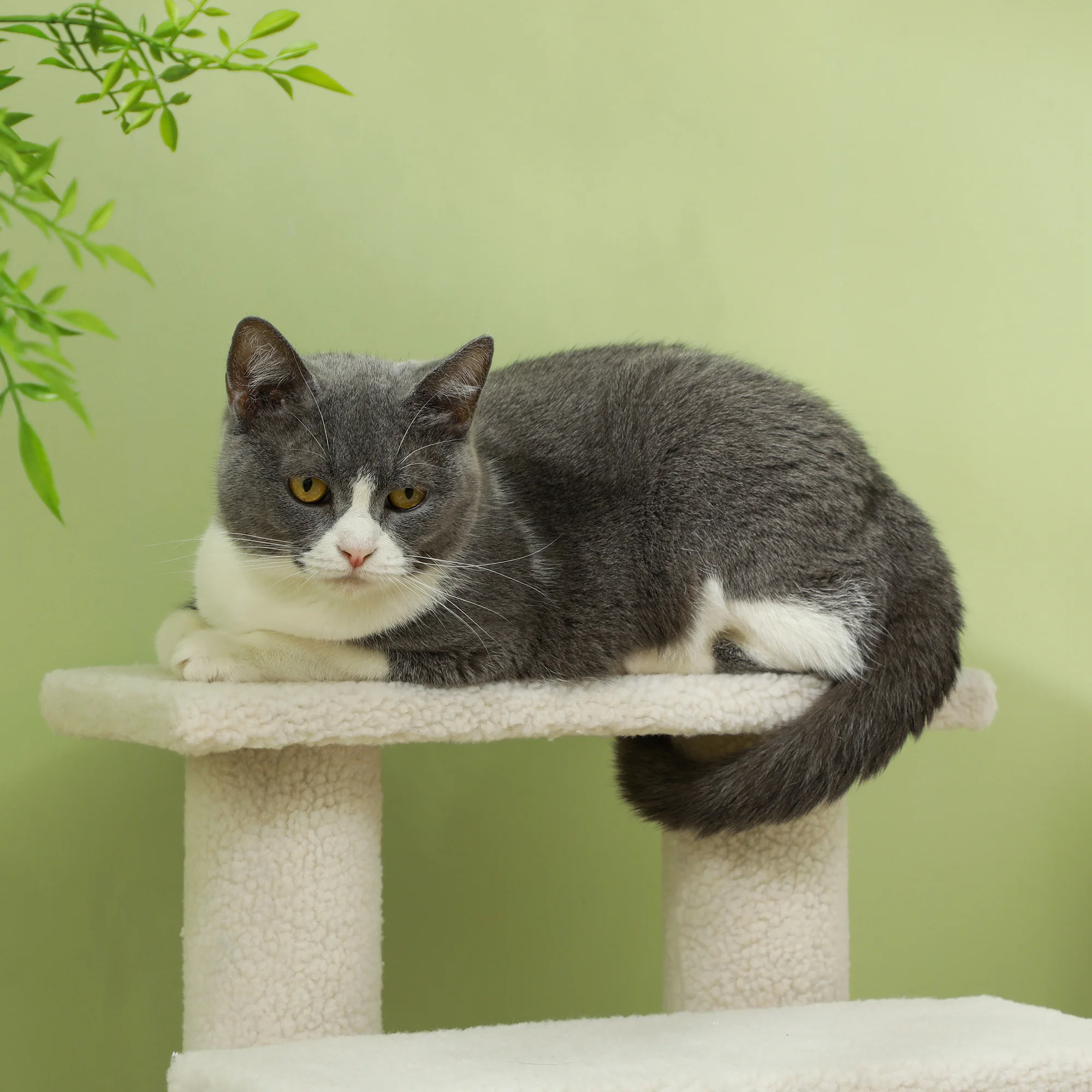Haustiertreppe für Hunde und Katzen, 4 Stufen, Plüsch beige, 63,5x43x60cm, perfekt für ältere Haustiere. – Detail 7