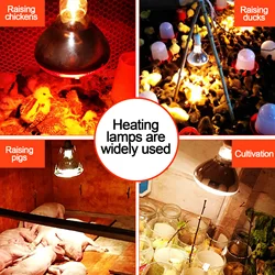 Poultry 220V Heating Lamp Bulb Thermal Preservation Heat Infrared Ray for Reptile Amphibian Pet Livestock 100/150/200/275W