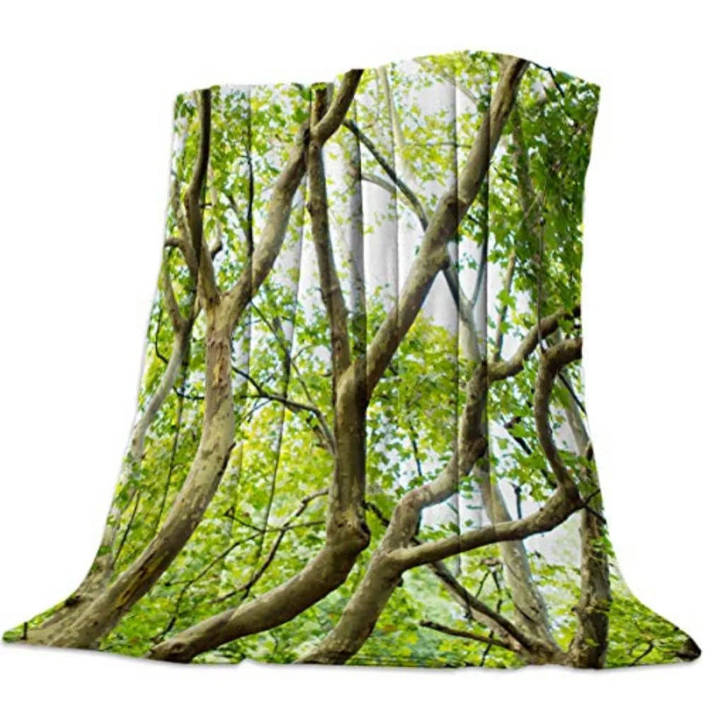 �ƴ��� ���� �� ����Ʈ �ؼ��� ���, ���ο� ���� �ö��� ���, ����, ħ��, ���, �ֱ���ǥ