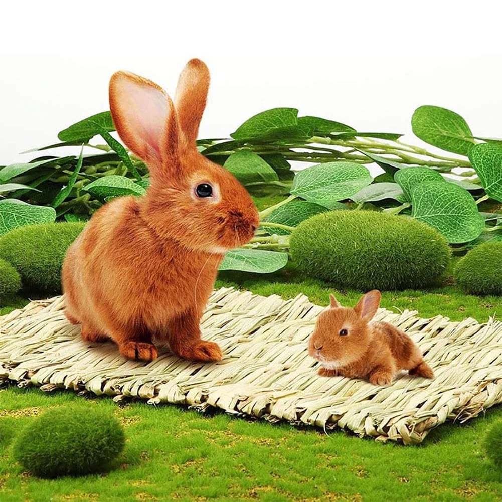 Straw Woven Pet Chew Toys