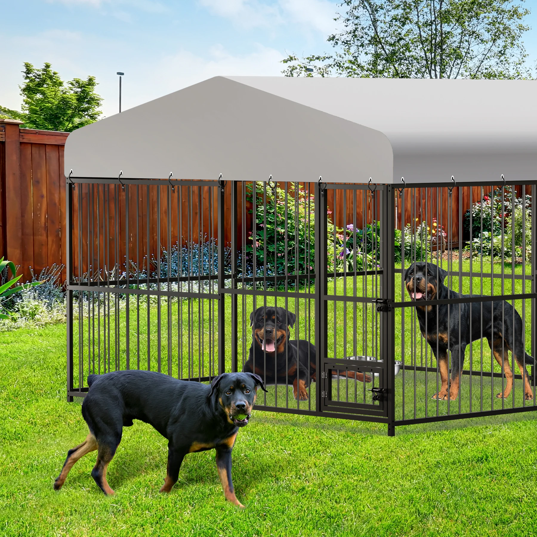 Large Outdoor Dog Kennel 6