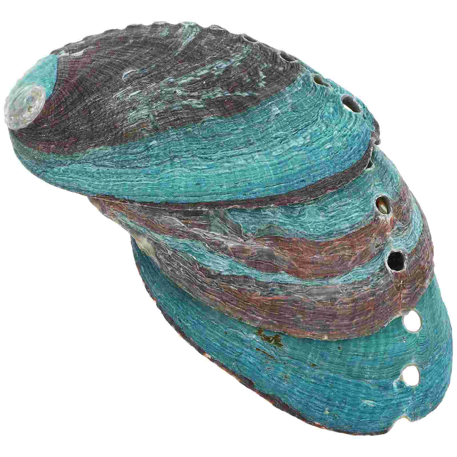 

3 Pcs Natural Shell Abalone Decorative Ornaments Smudge Stick Holder Seashells Bowl for Smudging Sink Tray Kit Container