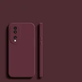 Plum Color