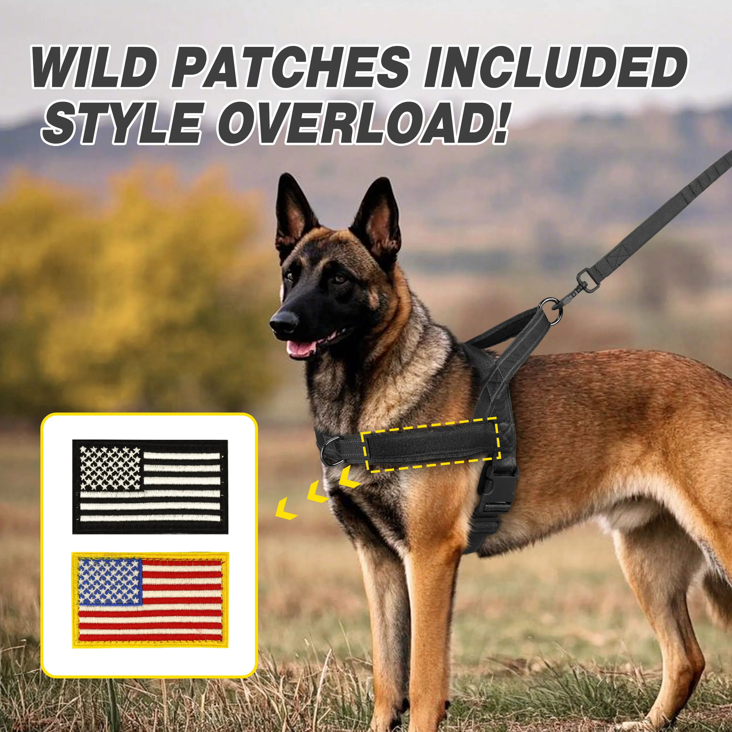 Mobility Harness Dog Certifications Best Service Dog Breeds For