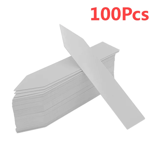 white 100pcs