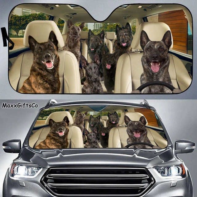 Dutch Shepherd Car Sun Shade, Dogs Windshield, Dogs Family