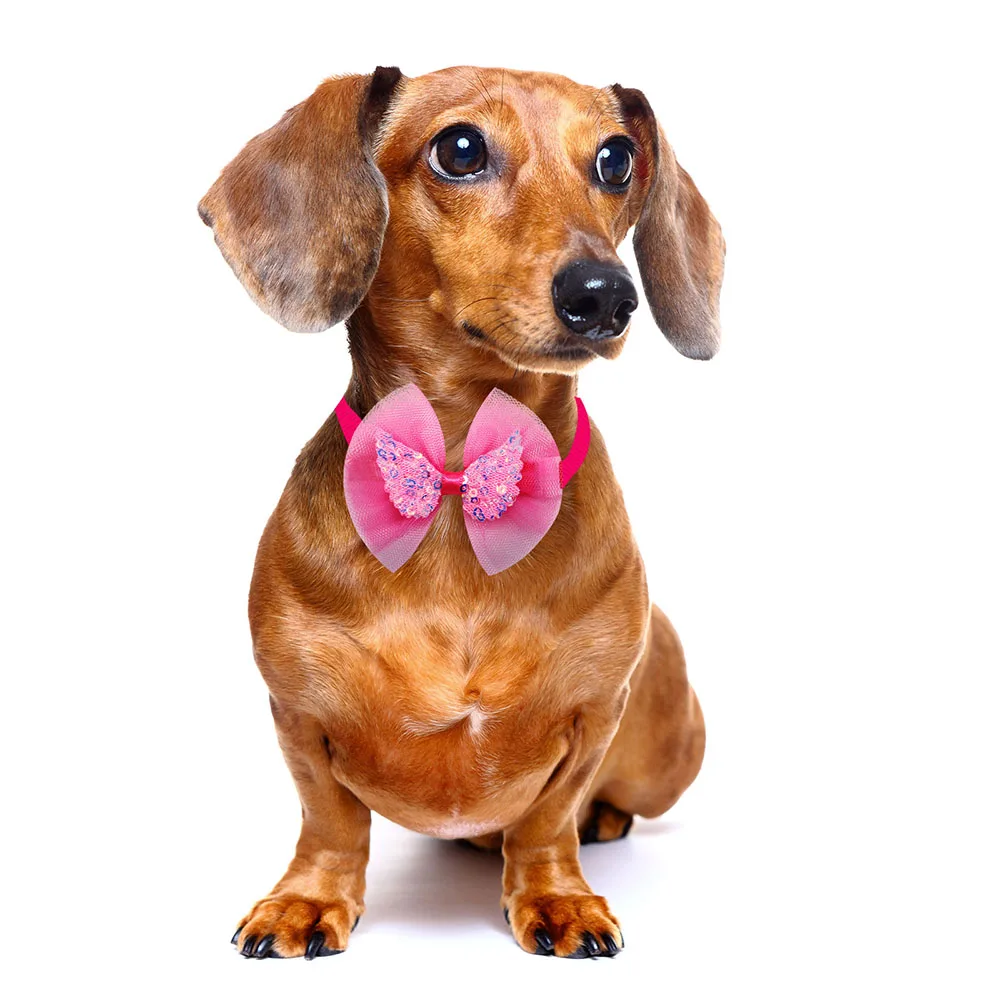 Title 8, 20pcs Lace Pet Dog Bowties Sequin Angel Wing Fa...
