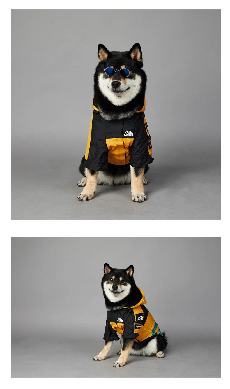 Hund Gesicht Jacke Kleidung Haustier Welpen Hoodies Regen mäntel warmes wetterfestes Sweatshirt für große mittlere kleine Hunde Kleidung Kostüm