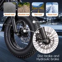 Adventure-Ready Kids Electric Bike - Compact Fatbike V20 250 W - Image 5