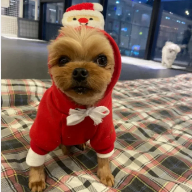 소형 중형견용 애완동물 의류 크리스마스 강아지 옷 강아지 고양이 후드티 치와와 의상 크리스마스 애완동물 옷 코트 새해