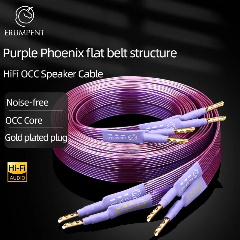 HiFi OCC Speaker Cable Hi-end Pure Copper Flat Belt with Serrated Solid Gold-plated Banana Y Plugs Cable for Speaker Amplifier