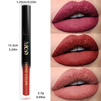 19 colors Matte Velvet Lip Gloss Waterproof Liquid Lipstick Nude Black Lips tint Makeup Lip Glaze Cosmetics Red Lip Stain Beauty 4