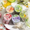 200cm/roll, Fruit Themed PET Tape Handbook Sticker,Scrapbook Background Phone Case Notebook Diary Decorative Stationery Stickers 3