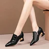 Thick Heel Fashion Shoes Women 2025 Spring and Autumn New Pointed Toe Deep Mouth Sexy Striped Fashion High Heels Women’s 5