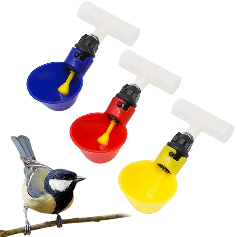 Quails Chicken Water Drinkers Quail Drinker Chicken Waterer 30 Pcs