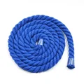 RoyalBlue