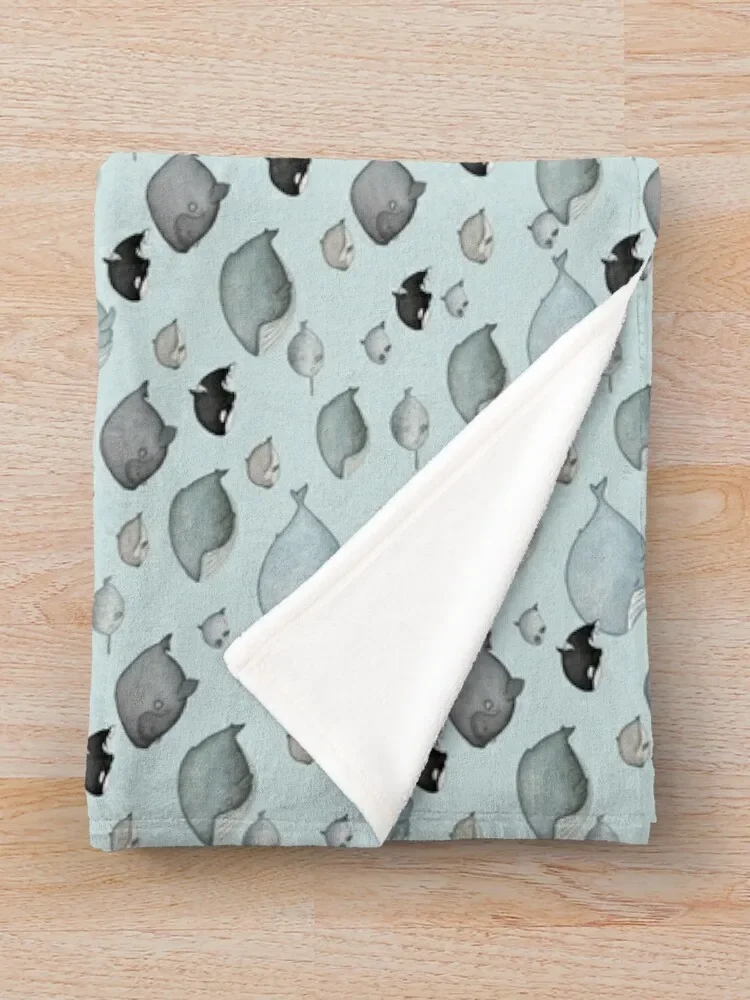 ���� ���� ���� ���ο� ���, ħ�� ������ �ö��� ���� ���, ũ�������� ���� ����, ���� ���