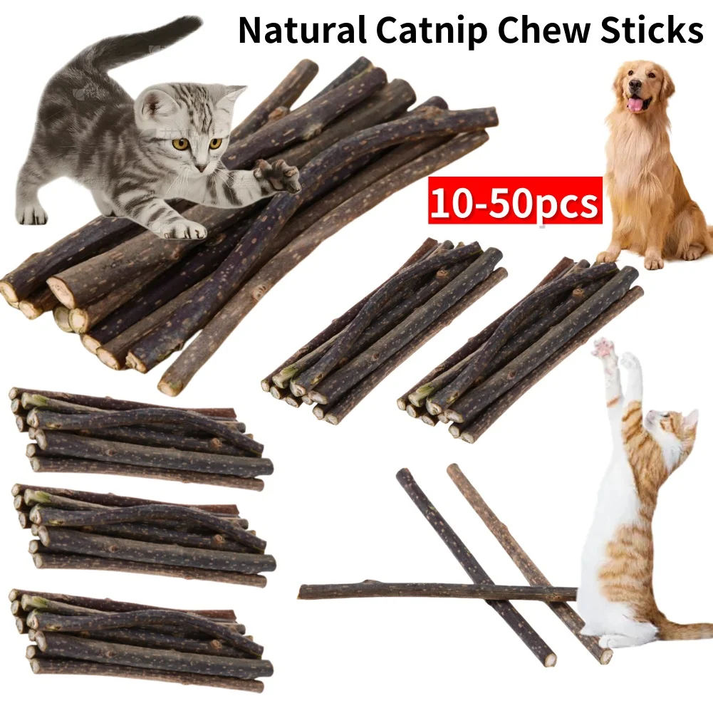 10-50PCS Natural Cat Catnip Stick Kitten Molar Chew Stick Pet Cleaning Teeth Relieve Cat Treat Toy Actinidia Silvervine Pet Prod