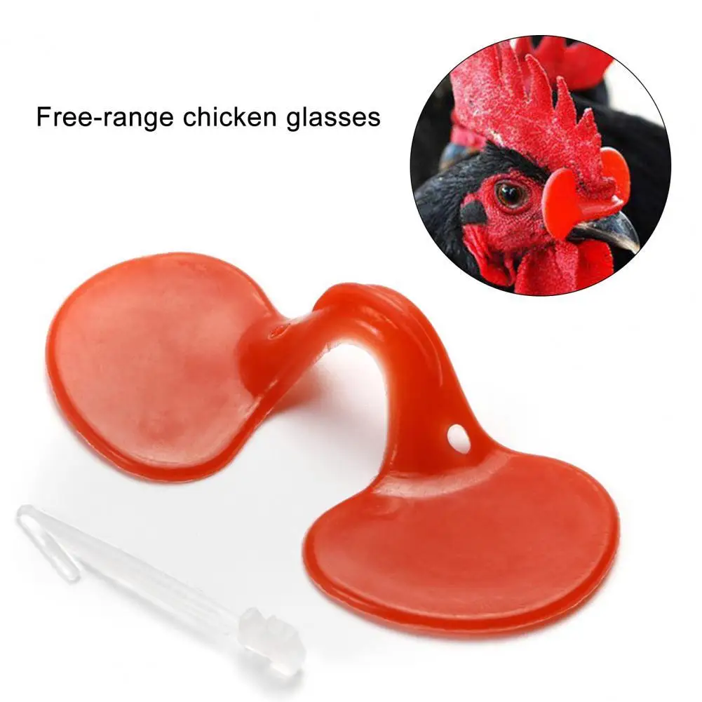 1000PcsSetsChickenGlassesUserfriendlyConvenientPlasticAnti