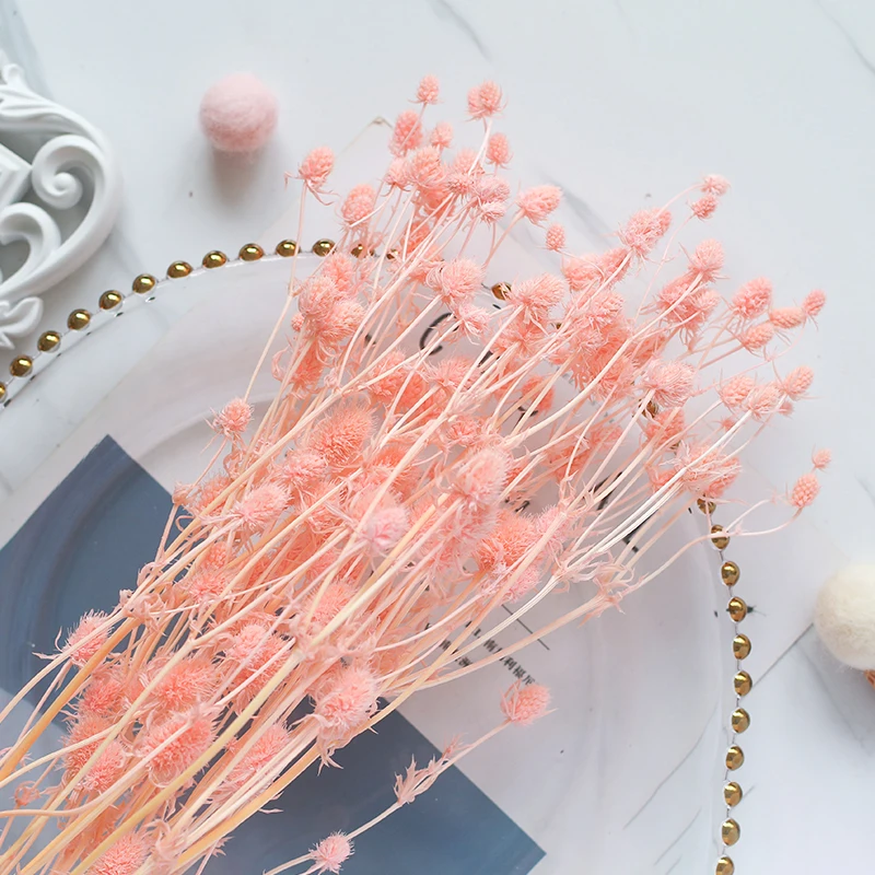 Lover Fruit Natural Dried Flower Bouquet DIY Dried Flower for Resin Mold Making Real Flower For Home Wedding Party Decoration