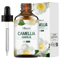 Camellia