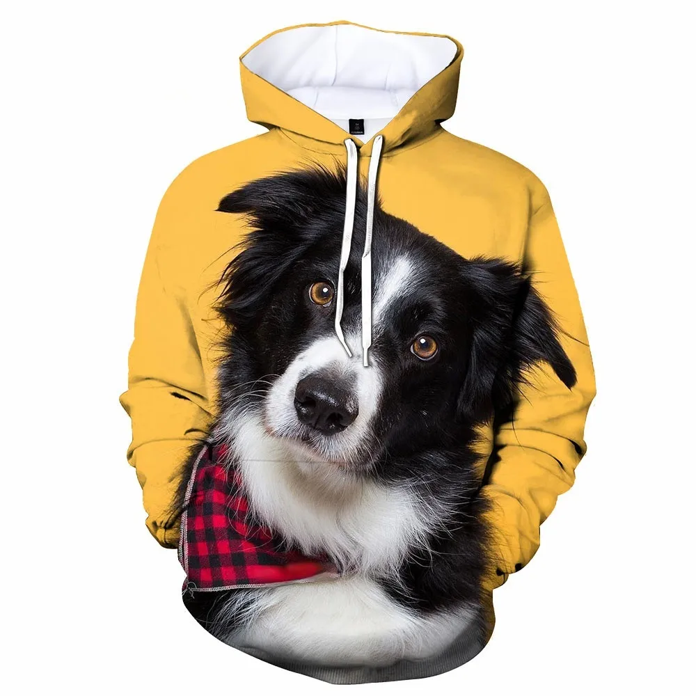 Funny Border Collie Dogs 3d Print Hoodies Men Women Border Collie Dog Pullover Hoodie Sweatshirt
