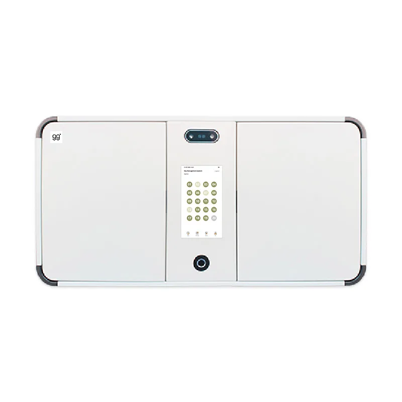99Plus Intelligent Locker System Solution V-200C Wall Key Safe Cabinet