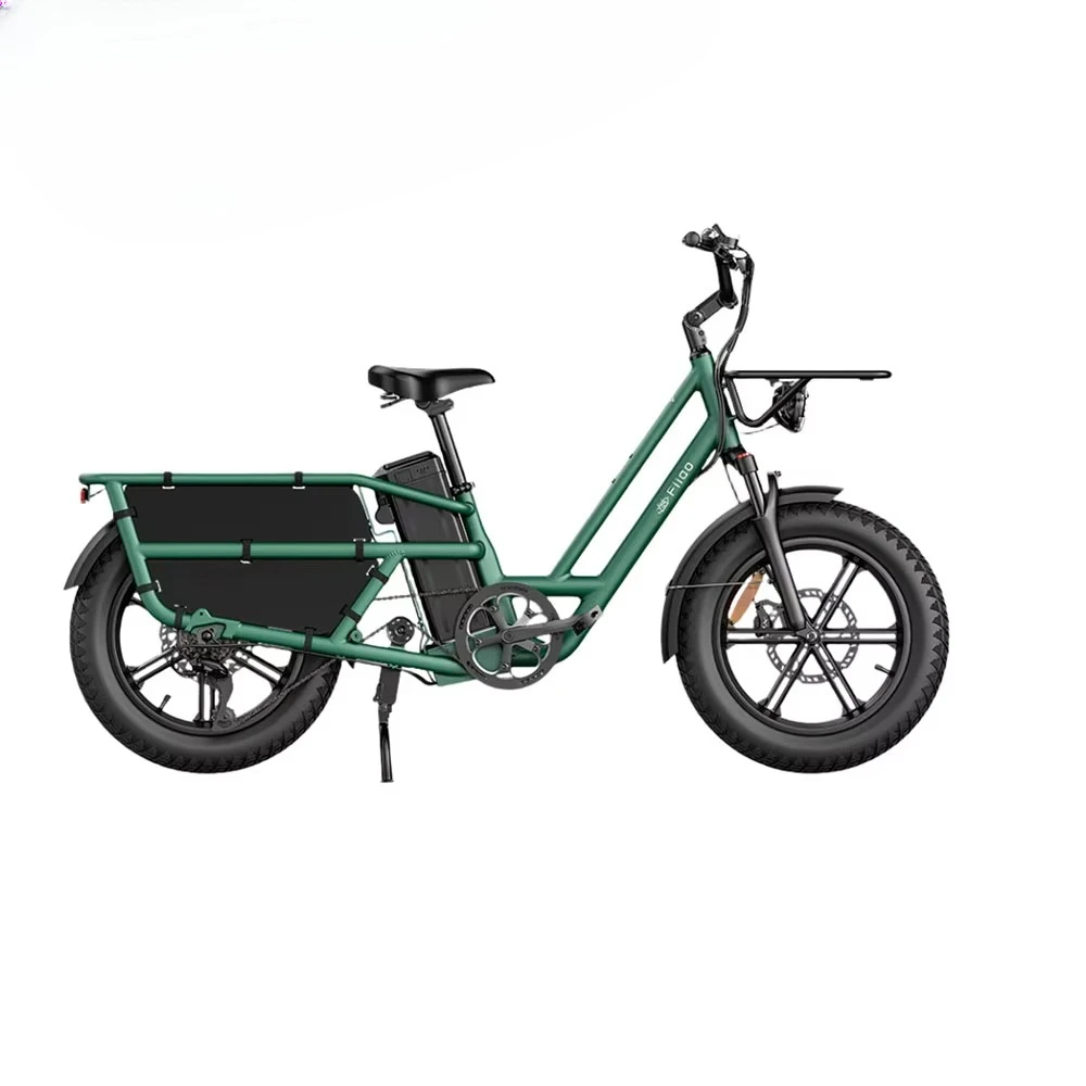 Fiido T2 Long Tail Cargo Ebike mit 250W Motor 48V 20AH Batterie hydraulische Scheibenbremsen Elektrofahrrad 6