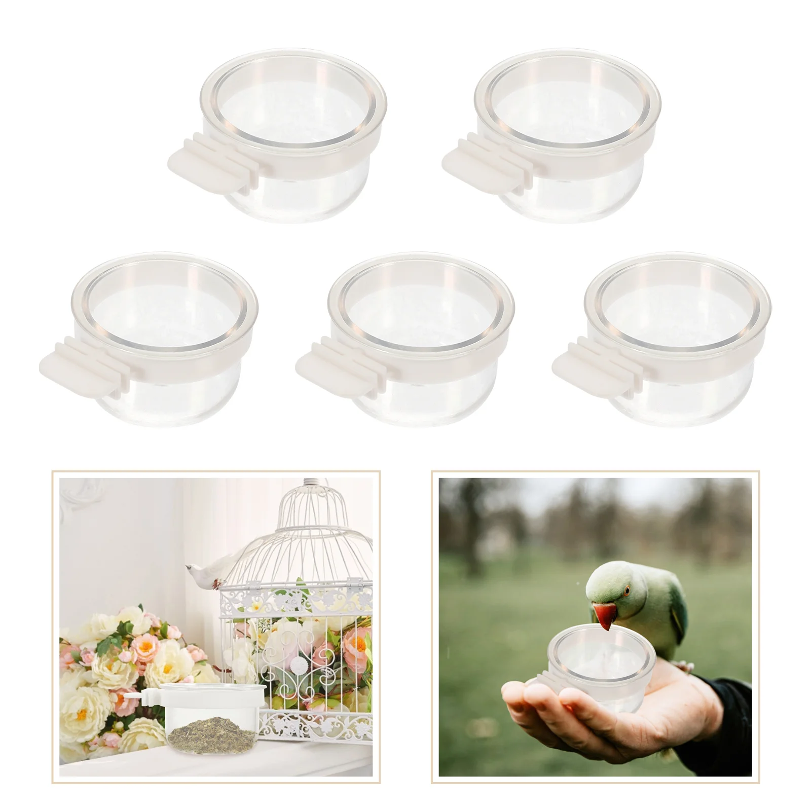 5Pcs Acrylic Bird Bowls Transparent Bird Feeders Hanging Parrot Feeders Supply bird feeder parrot feeder parrot feeding bowl