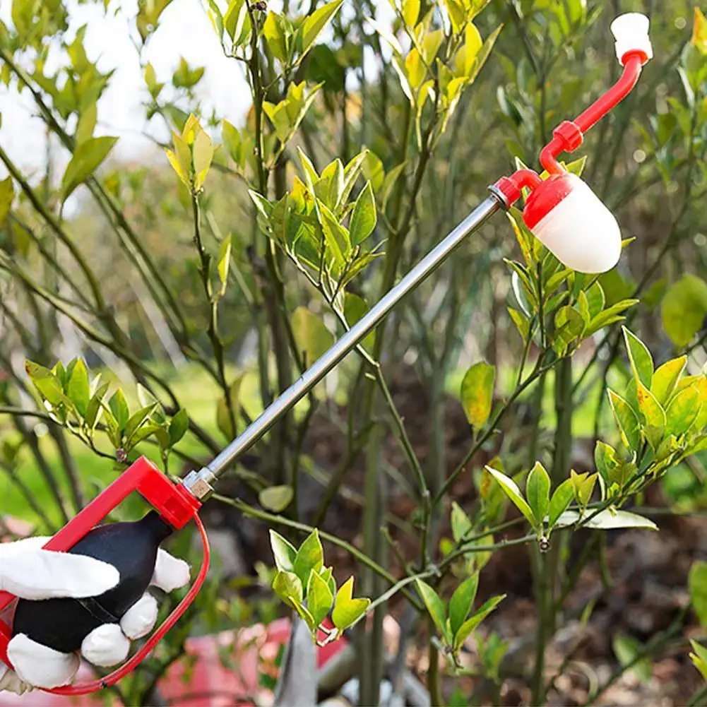 

Agricultural Long Pole Tree Hand Tomato Pollination Pollination Tree Apple Tools Vegetables Fruit Too Kiwi Pear Gardening T L6V8