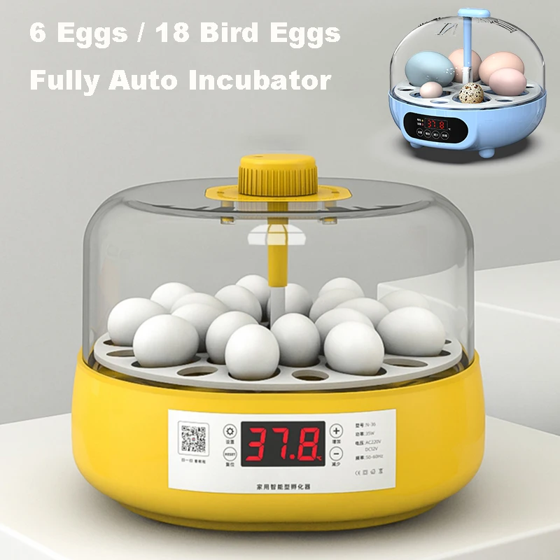 Mini Birds Egg Incubator Automatic Home Brooder Electric for Children Chicken Birds 6 18 Eggs