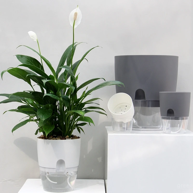 VASO DA FIORI assorbente auto DE fioriera autoirrigante to idroponico EUR 8,65 - IT