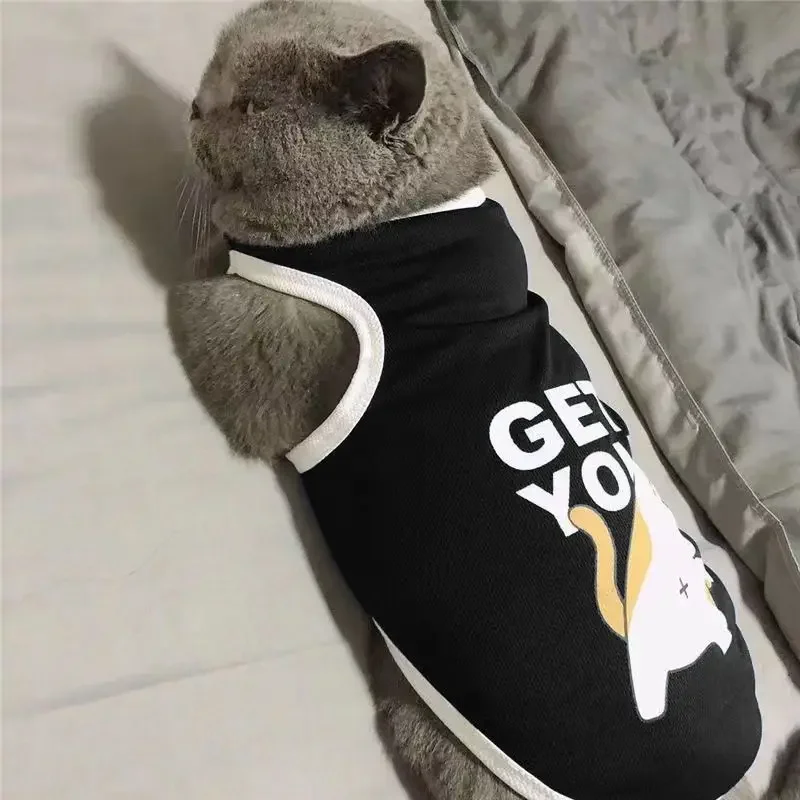thumbnail image 1 of Ropa para perros y gatos transfronteriza Ropa ligera para mascotas de verano y otoño para razas pequeñas como el bichón frisé, el osito de peluche y el corgi, 1 of 5