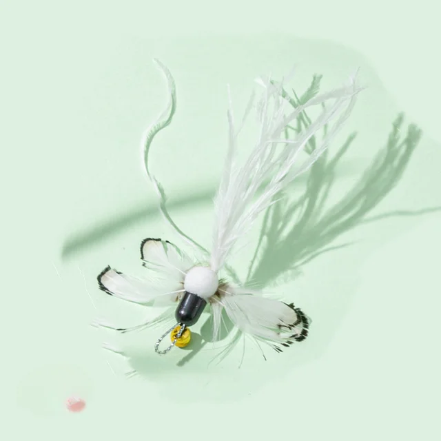 Image 12