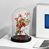 Diameter=25cm Height=25cm 30cm 35cm 40cm 45cm Big Size Glass Dome Deocration Black Base Cover Wedding Souvenir Birthday Gift 5
