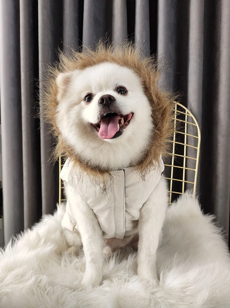 Artik Feather Down Dog Vest
