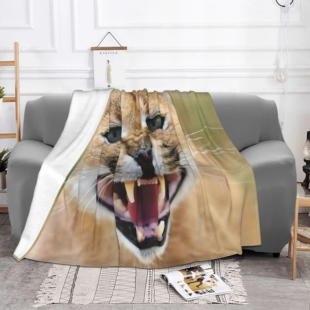 Eu só quero sair com meu gato siamês, Amante Animal, Cobertores de cama de  verão, Idéia do presente, Cobertor do jogo - AliExpress