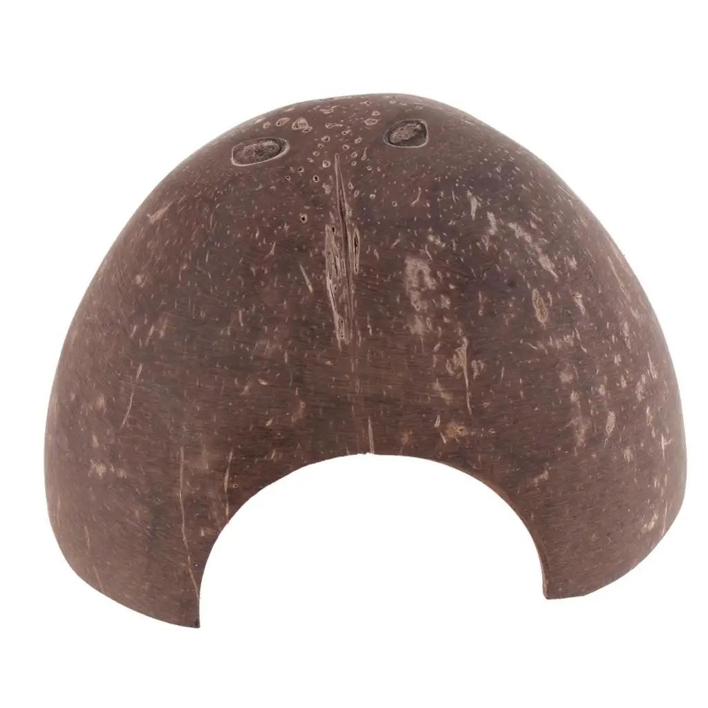 Natural Hut-Non-, Coconut Reptile Hideouts, , Aquarium Fish