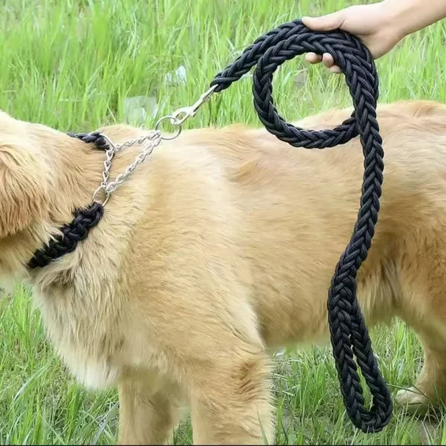 Braided Nylon Dog Leash 3