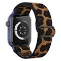 33 leopard