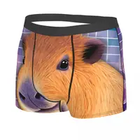 Meme Techno Man's Boxer Briefs Underpants Capybara Highly Breathable Top Quality Gift Idea 2