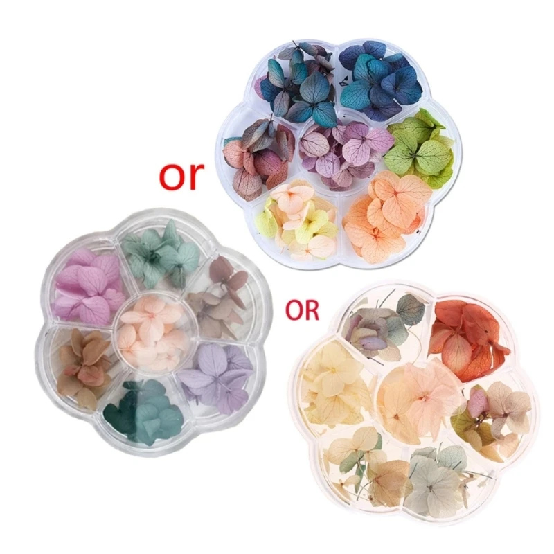 

Fast Reach 6 Dried Flowers for Resin Real Dried Pressed Flowers Dry Leaves for DIY Arts Crafts Epoxy Resin Mold Jewelry