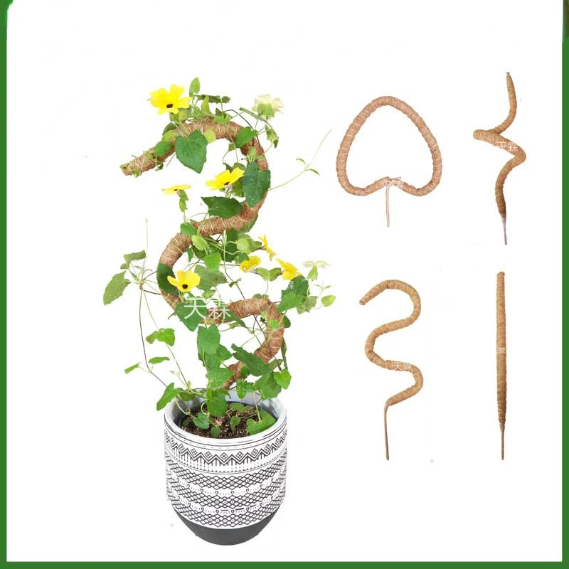 

DIY моделирующая палка для подъема растений, палка для лазания из ротанга с кокосовой пальмой, гибкая корректирующая палка, садовая стойка с зеленым редисом