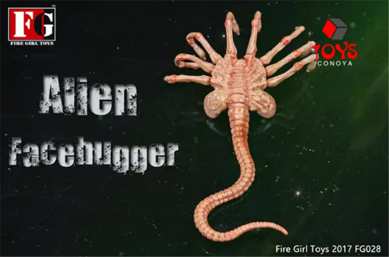 النار فتاة FG027 FG028 1/6 الغريبة تشستبورستر Face...