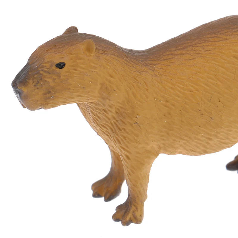 Sf57c7b865eeb4202afeca36728d63b64k - Capybara Plush