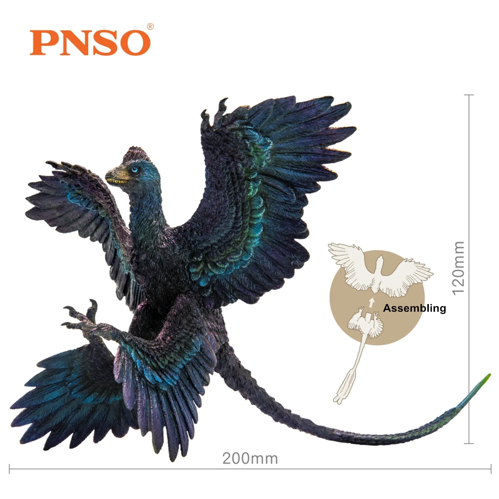 

PNSO микрораптор, фигурка 29 Dromaeosaurus, модель динозавра, животное, коллектор, Декор, подарок для взрослой коллекции, научные игрушки для дома