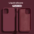Plum red