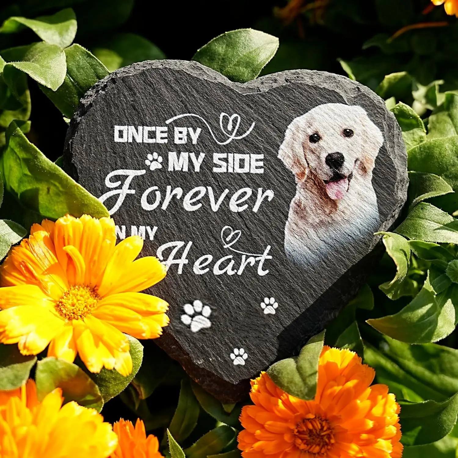 Pet Memorial Stones with Photo Personalized Cat Dog Grave Stones Birds Memorial Gifts Home Ornament Funerary Plaque Tombstone